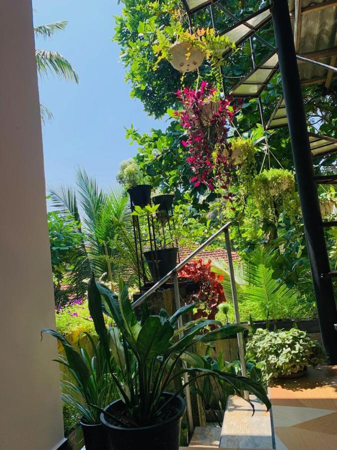 Art House Hotel Dikwella Luaran gambar